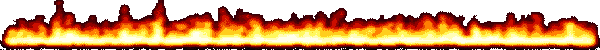 Asset